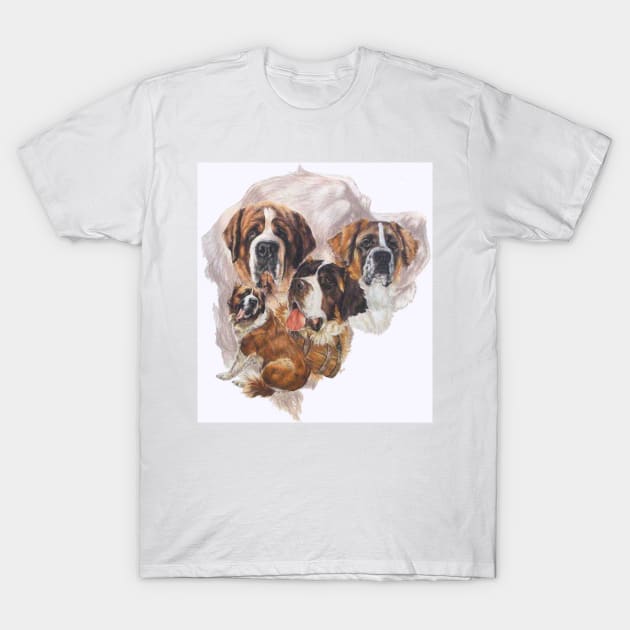 Saint Bernard Medley T-Shirt by BarbBarcikKeith